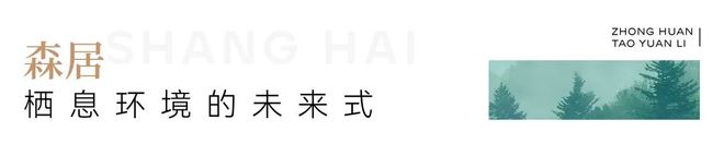 陀中环桃源里发布：投资潜力满分麻将胡了！中环桃源里售楼处 普(图23)